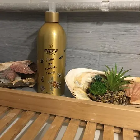 公寓 Blueview 拉哥斯